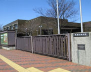 �V���s���p��